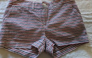 Chubbies seersucker shorts